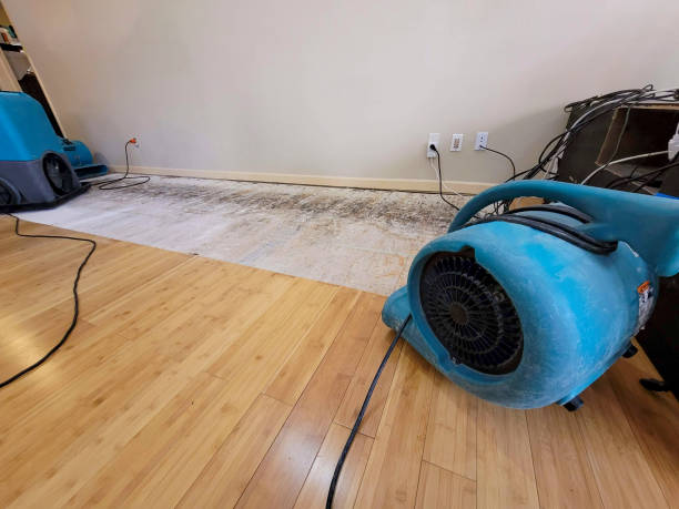 Professional Flood Damage Cleanup technician working in Dublin, TX